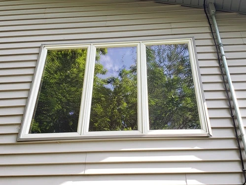 Birds see habitat when vegetation and sky is reflected in windows.