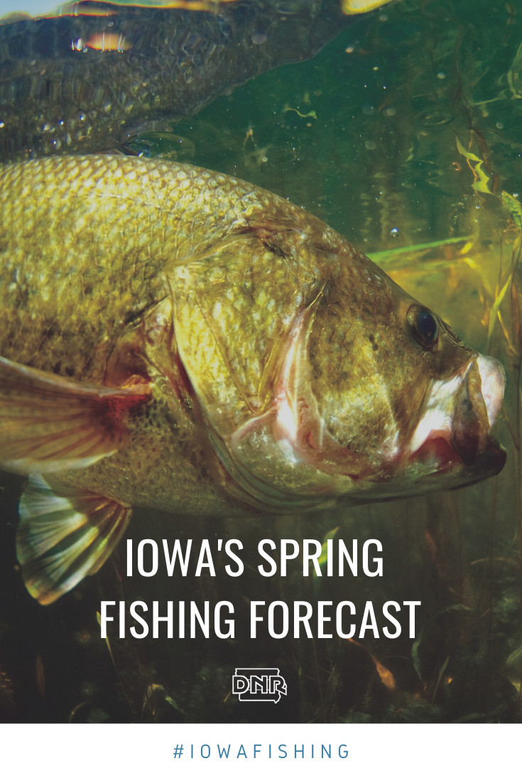 Iowa DNR Fishing Report – September 15th, Northwest Iowa Outdoors