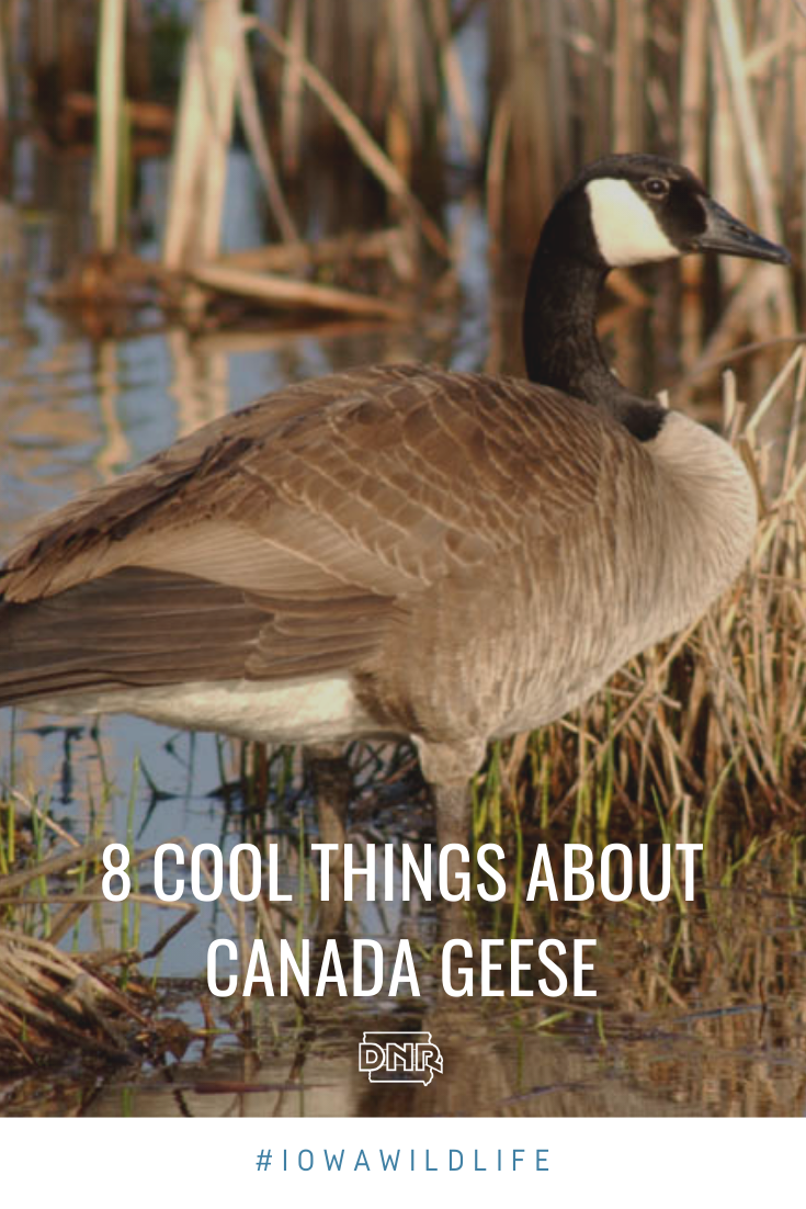 Canada Goose Opens The Cold Room So Customers Can Experience Its