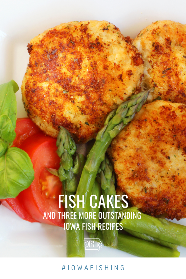 Reel in these new fish recipes - DNR News Releases