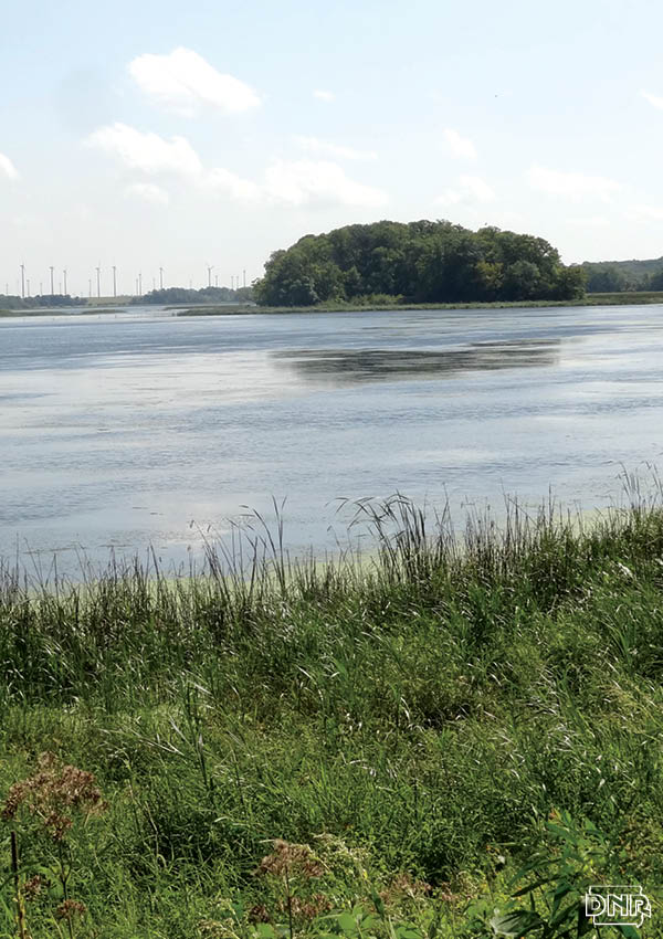 Restoration efforts have improved northern Iowa's Rice Lake.