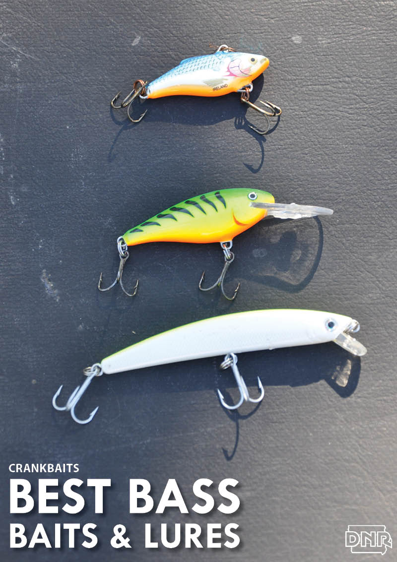 6 best bass baits and lures for summer - DNR News Releases