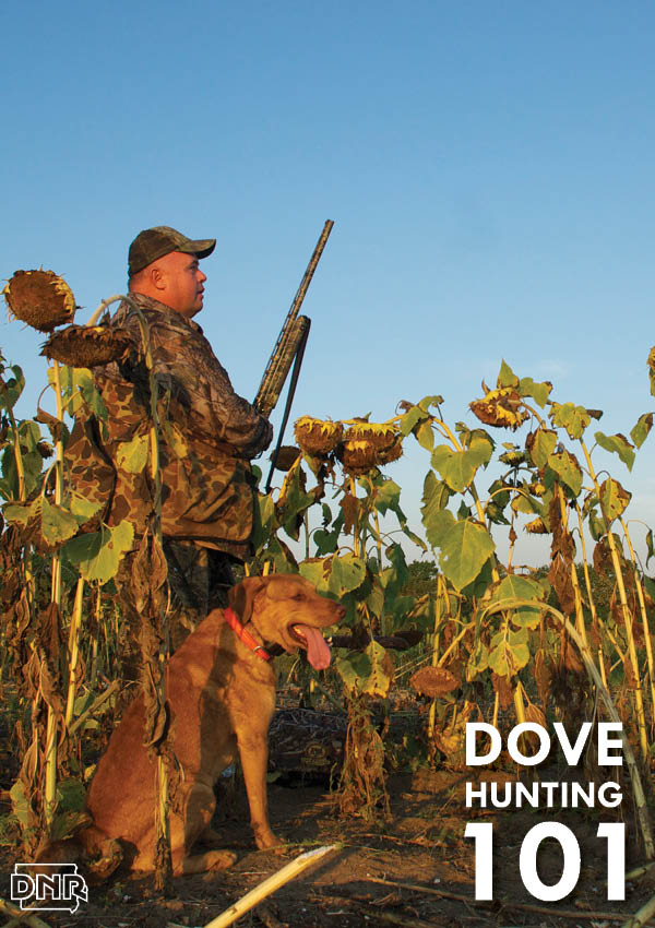 do you need a dog to dove hunt