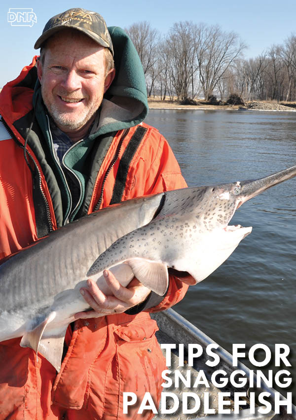Snag a Paddlefish This Spring With These Pointers - DNR News Releases