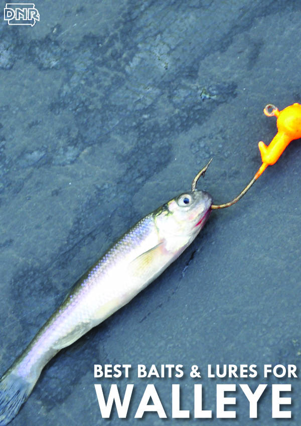 4 Lures That Walleye Can't Resist - DNR News Releases