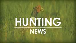 Last chance to hunt deer until fall