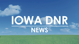 After years of cloudy conditions, the Trout Run project is aiming for a brighter future for an essential water source in northeast Iowa.