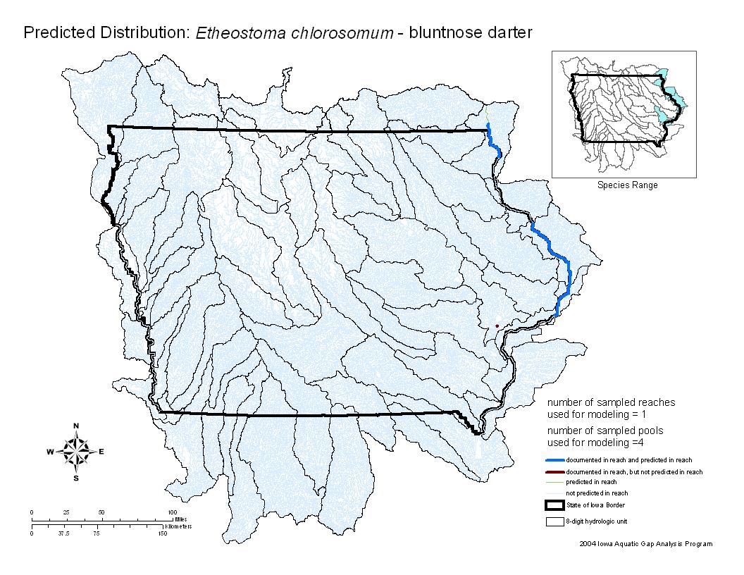 Bluntnose Darter Distribution