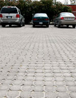 Permeable pavement in this parking lot helps rainwater soak into the ground instead of running off.
