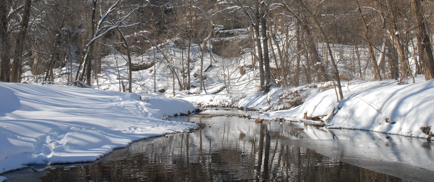 Meandering stream flowing through a wooded area with snow on the ground.