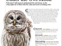 Iowa Outdoors Magazine, together section from January 2010, showing image of an owl and teaser text for "Go calling under the owl moon"