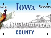 Iowa license plate showing image of a pheasant.