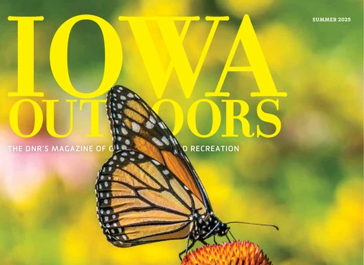 Iowa Outdoors magazine cover image with butterfly on a flower.